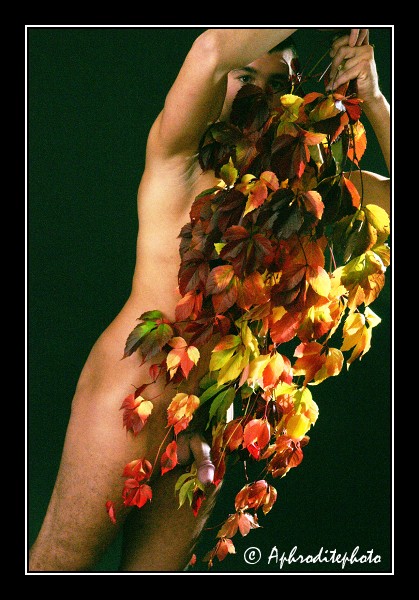 113 Feuillage d'automne 1